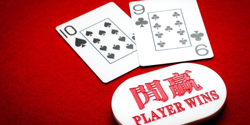 Hệ thống livestream đẳng cấp quốc tế