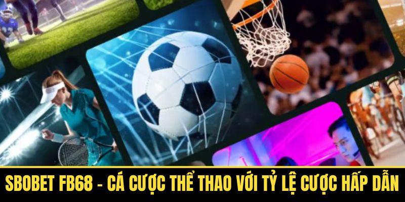 Sbobet FB68 - Cá Cược Thể Thao Với Tỷ Lệ Cược Hấp Dẫn