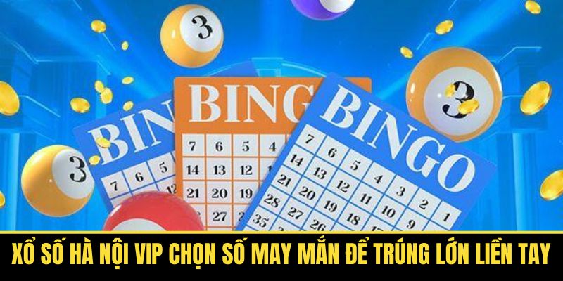 Xổ Số Hà Nội VIP Chọn Số May Mắn Để Trúng Lớn Liền Tay