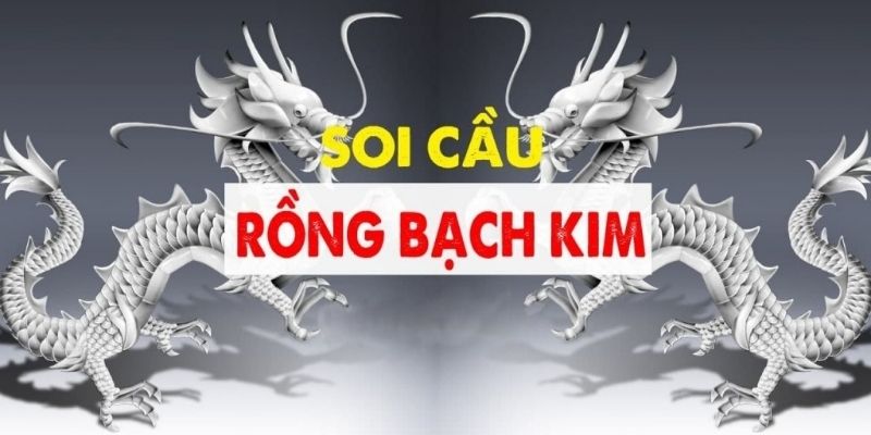 Rồng Bạch Kim khẳng định vị thế top đầu