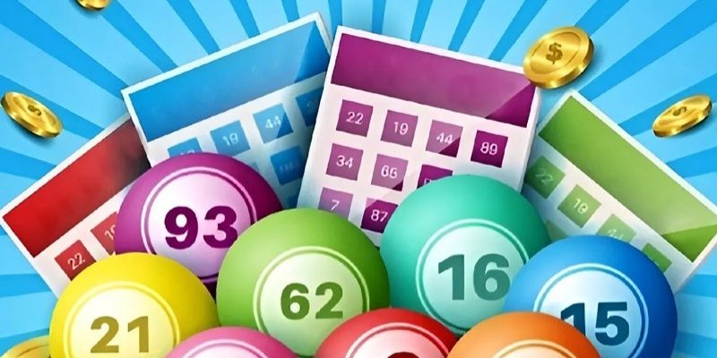 Các yếu tố mà người mới cần chú ý khi mới trải nghiệm