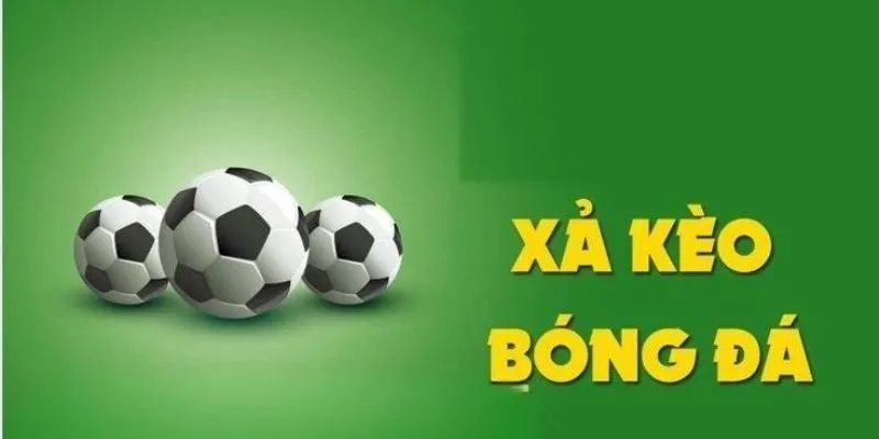 Lưu ý lúc tiến hành xả kèo bóng đá online