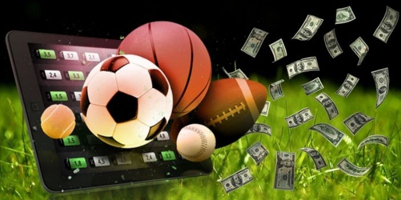 Nên cược bóng đá ở sảnh nào hiệu quả nhất