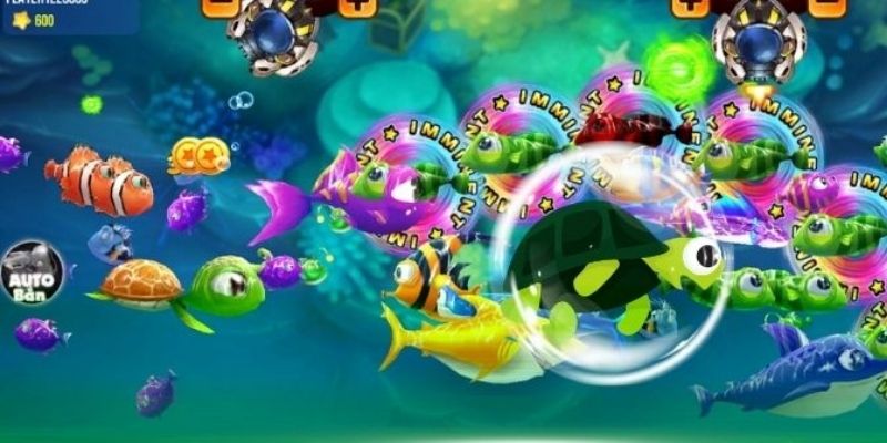 Hội viên cần chọn lúc vắng người để săn ngư Rùa Xanh