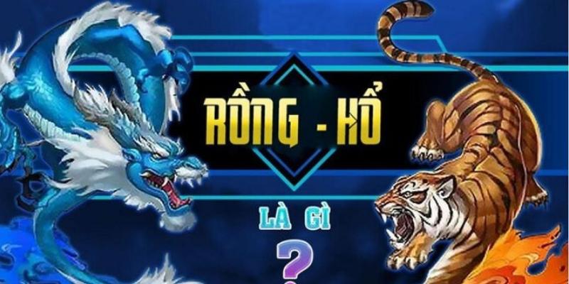 Tổng quan về luật chơi rồng hổ trực tuyến
