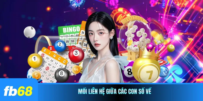 Mối liên hệ giữa các con số về