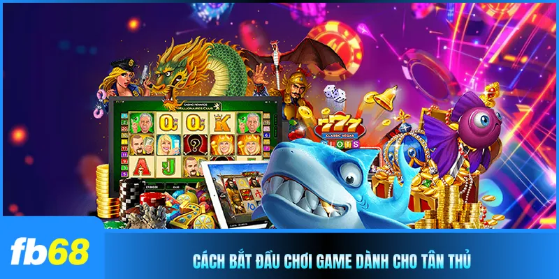 Cách bắt đầu chơi game dành cho tân thủ