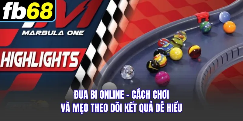 Đua Bi Online - Cách Chơi Và Mẹo Theo Dõi Kết Quả Dễ Hiểu