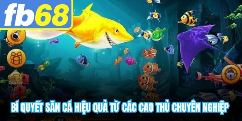 Bí quyết săn cá hiệu quả từ các cao thủ chuyên nghiệp nên bỏ túi