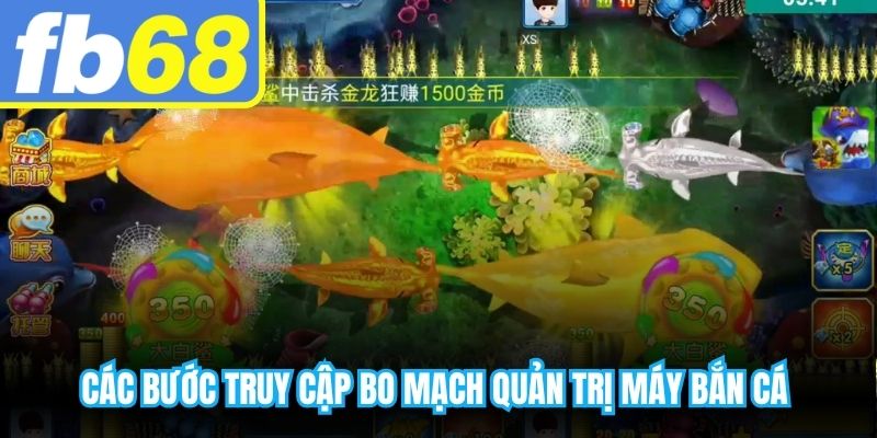 Các bước truy cập bo mạch quản trị máy bắn cá chuyên nghiệp