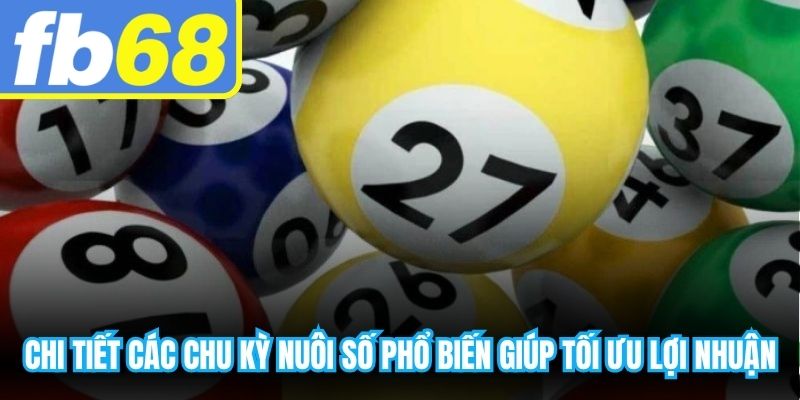Chi tiết các chu kỳ nuôi số phổ biến giúp tối ưu hóa lợi nhuận