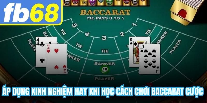 Áp dụng kinh nghiệm hay khi học cách chơi baccarat cược lớn