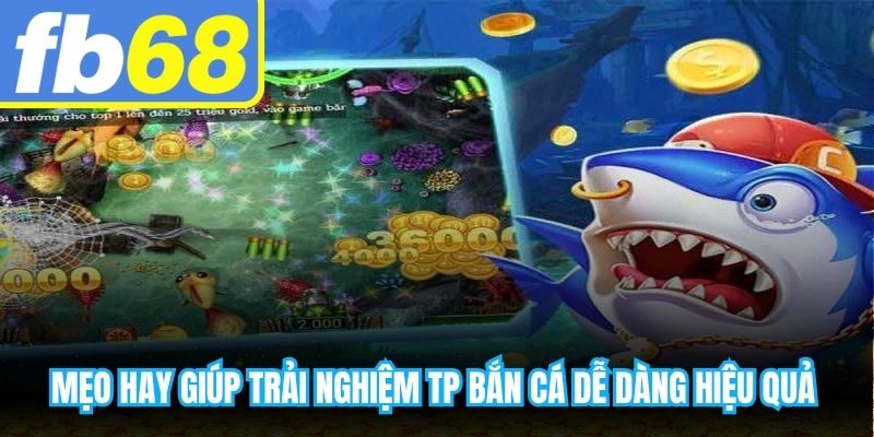 Mẹo hay giúp trải nghiệm TP bắn cá dễ dàng hiệu quả nhất